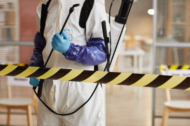Professional Sewage Cleanup technician working in West Sayville, NY